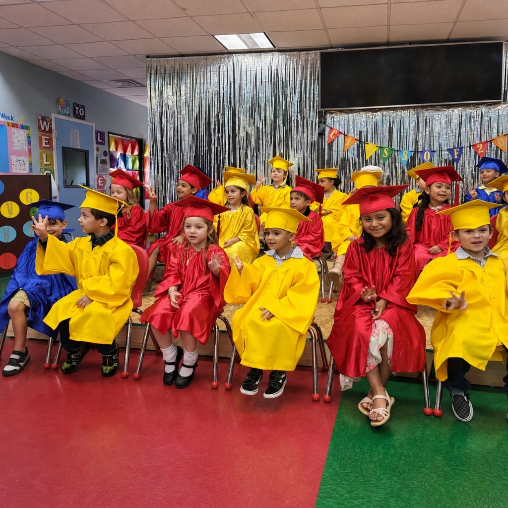Discovering Montessori Learning at Alphabetz